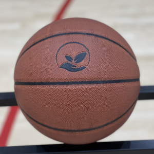Basketball Eco Sports