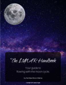 2019 lunar handbook