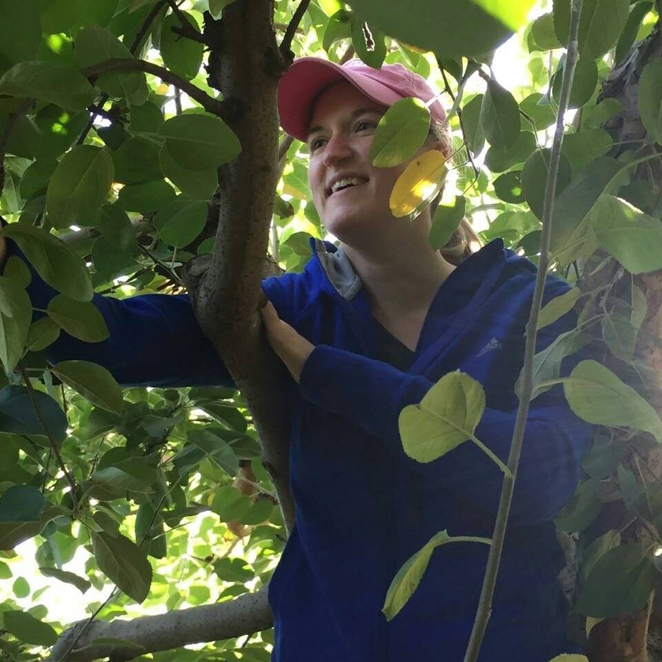 Laura Knapp Mazzotta